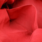 12540190_7.jpg